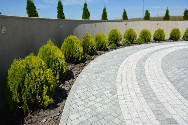 Best Driveway Repair Near Me  in Connelly Springs, NC